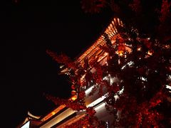 -大雁塔北广场音乐喷泉