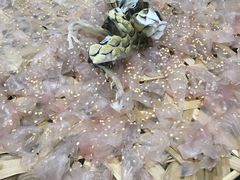 -官塘陈记鱼生·潮汕砂锅粥·牛肉火锅(潮枫路总店)