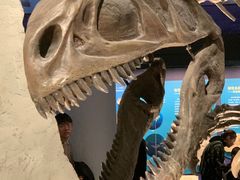 -国家自然博物馆