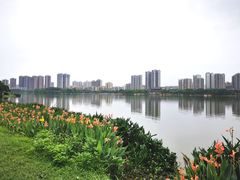 -飞来湖湿地公园