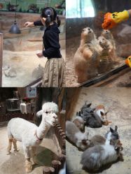 -宝燕乐园(闵行旗舰店)