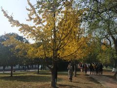 -书亦烧仙草(红星小学店)