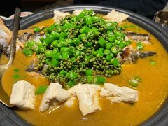 -探鱼·鲜青椒爽麻烤鱼(领展购物广场店)