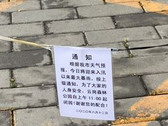 -云岗森林公园