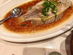 -稻香酒家·35年老字号(侨光店)