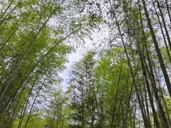 -千泷沟大瀑布旅游区