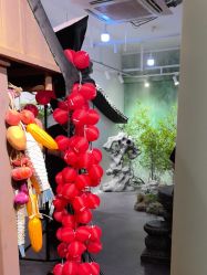 -星豆豆儿童摄影(南郊太白南路店)