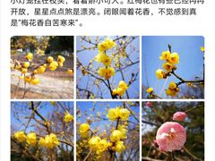 -白塘生态植物园