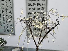 -杭州植物园
