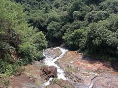 -广州白江湖森林公园