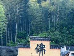 -九华山风景区