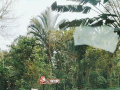 -海南热带野生动植物园
