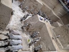 -秦始皇帝陵博物院(兵马俑)