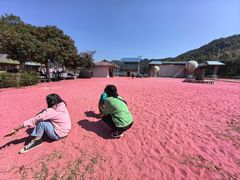 -石燕湖生态旅游景区