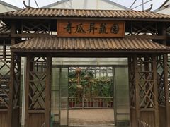 -上海都市菜园