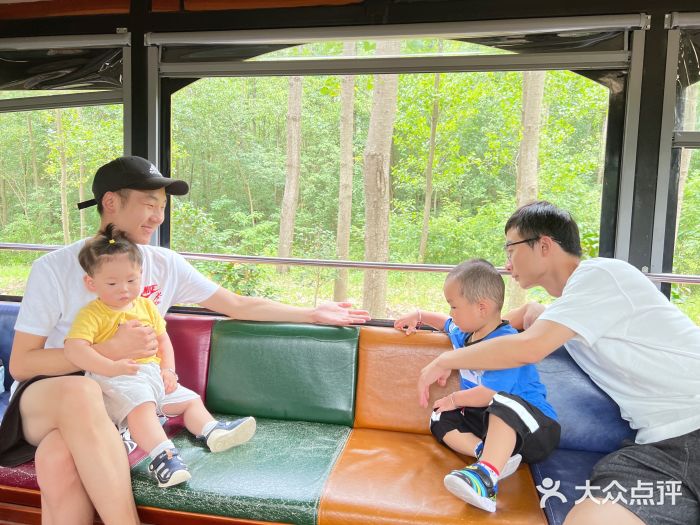 合肥滨湖国家森林公园图片