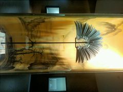 android_upload_pic-中国扇博物馆