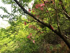 -会稽山峡洞漂流-上青古道