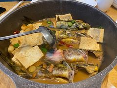 汪刺鱼炖豆腐-香浙汇(望京店)