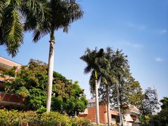 -广州市越秀区育才实验学校