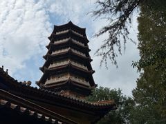 -天目山大树王景区