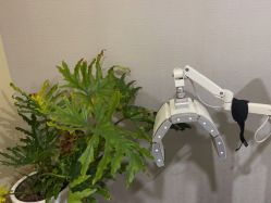 -上海首尔丽格医疗美容医院