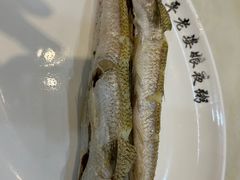 -长平老姿娘夜粥(平东一街店)