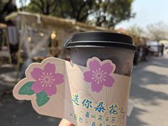 -高东镇樱花园