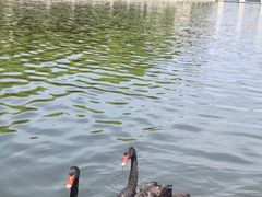 -长春世界雕塑园冰雪艺术天地