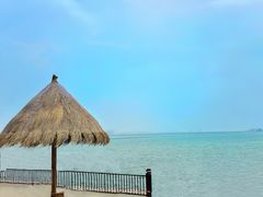 -北海金海湾红树林生态旅游区