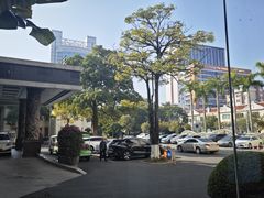 -漳州宾馆威尼斯西餐厅(胜利西路店)
