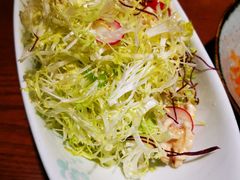 -蓝田印象