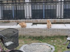 -河海大学(江宁校区)