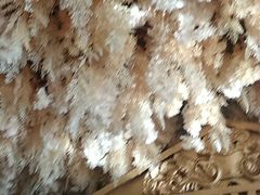 -宏源鑫海鲜餐厅·海景婚宴厅(石老人店)