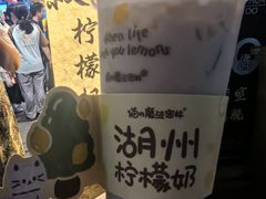 -猫的魔法密林(衣裳街店)
