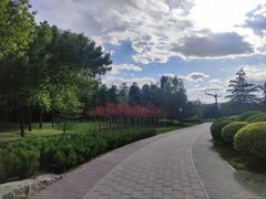 -北坞公园