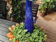 -品德宏·孔雀宴的发源地(金塔园店)