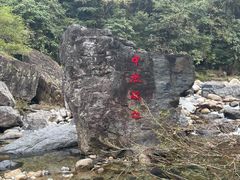 -石台牯牛降景区