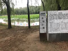 -廊坊市自然公园