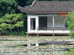 -杭州植物园