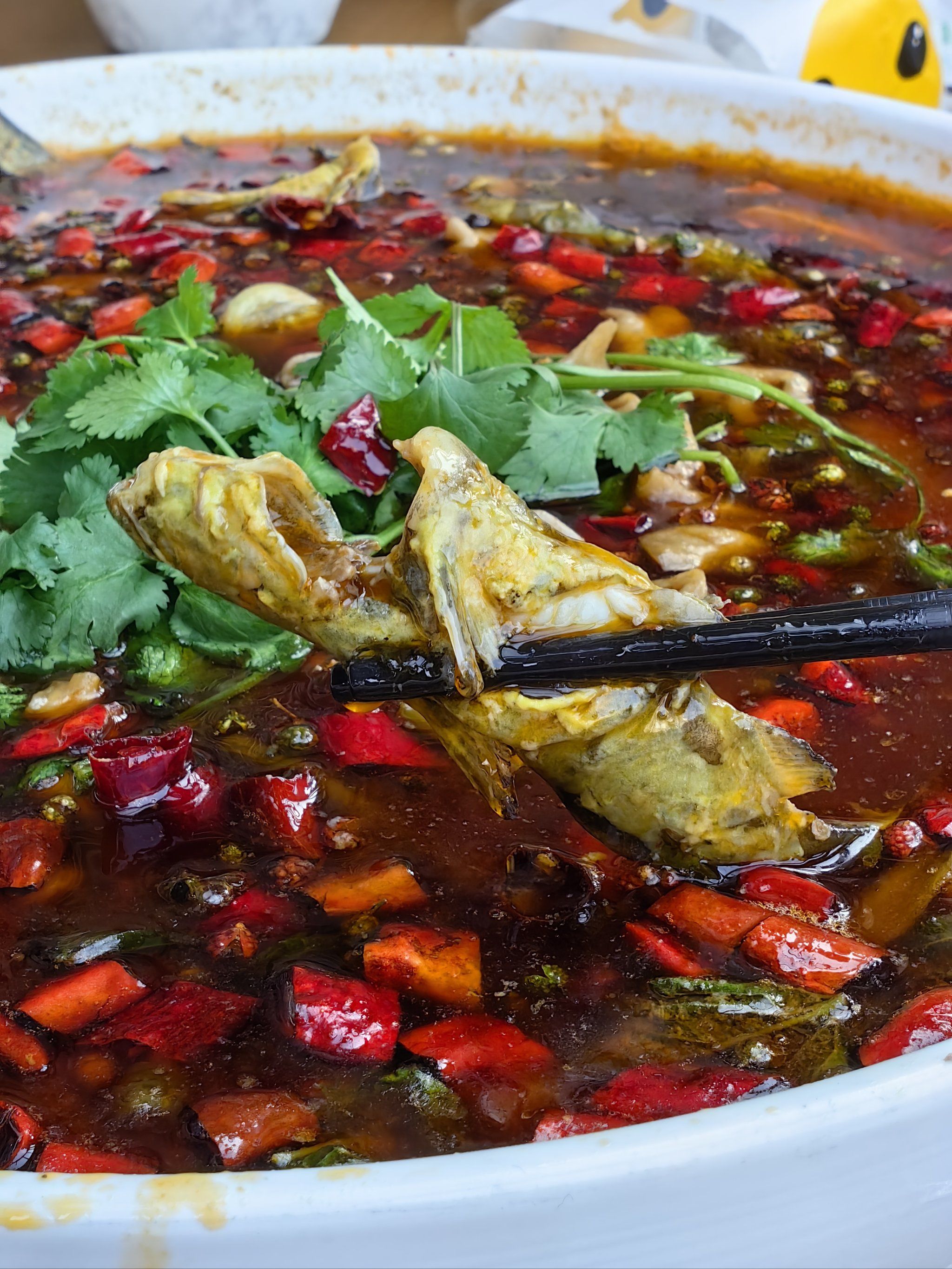 去黄辣丁发源地吃鱼🐟