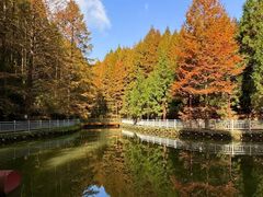 -山王坪喀斯特国家生态公园