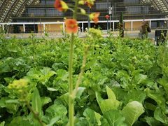 -中国天府农业博览园