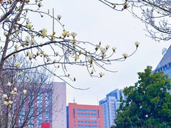 -西安创业咖啡街区