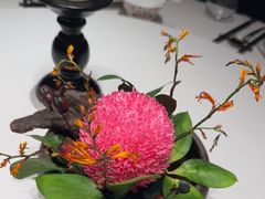 -蘇锦宴·淮扬菜烤鸭·小院(三元桥霄云路店)