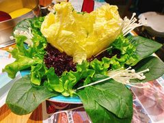 -青瓷火锅料理(西单大悦城店)