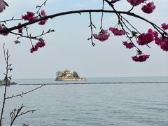 -小普陀
