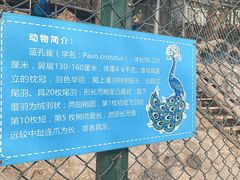 -北京鹿世界主题园