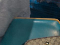 -马大胡子清真西北菜