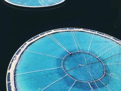 -上海当代艺术博物馆